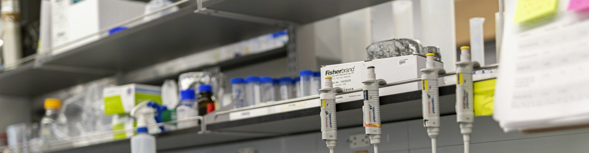 OEM, Testing & Third-party Validators