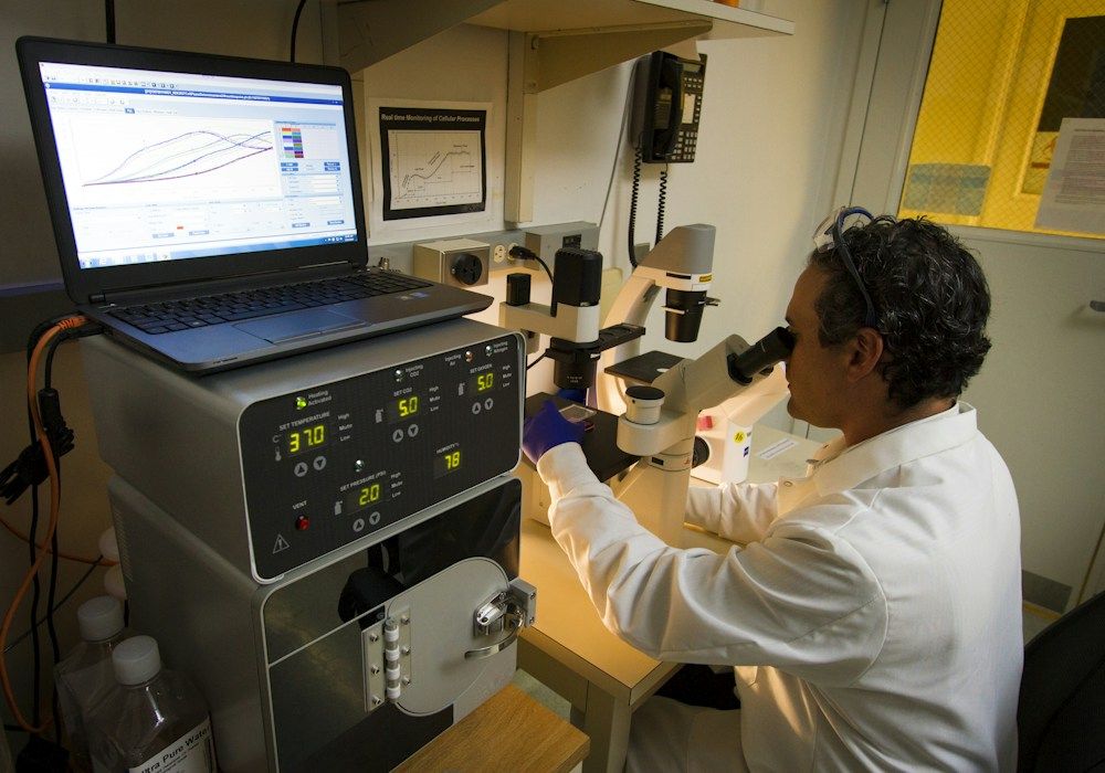 Analyst reviewing results at a microscope